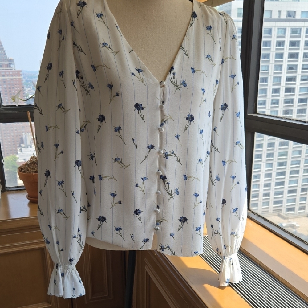 Joie Blue and White Ruffled Buttoned Blouse